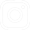 icon instagram w